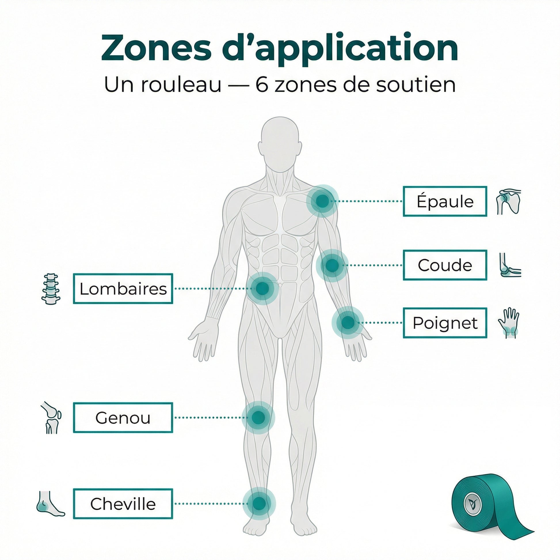 Zones d'application bande kinésiologie Serenys — cheville genou lombaires épaule